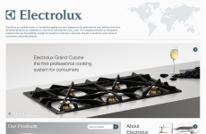 electrolux˹