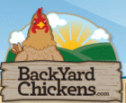 Backyard Chickens