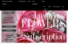 H Bloom