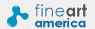 Fine Art America