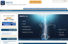 MEPIS