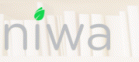 Niwa
