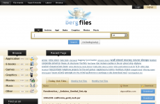 Bergfiles