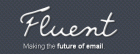 Fluent����