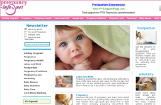 Pregnancy Info