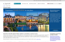 ����¾Ƶ꣨Gaylord Hotels��