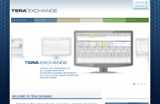 TeraExchange