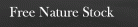 Free Nature Stock