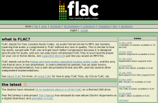 flac��ʲô��ʽ