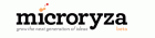 Microryza