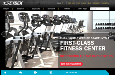 CYBEX����˹��������