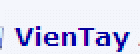 VienTay