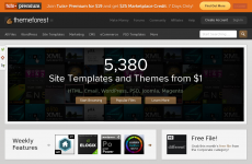 ThemeForest
