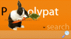 polypat