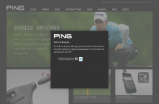 PING