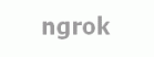 Ngrok
