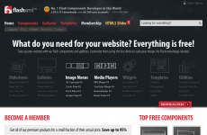 Flash XML