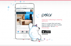 Polar