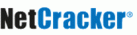 NetCracker Technology