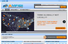 Amfibi