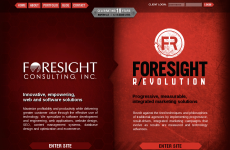 FORESIGHT��ѯ��˾