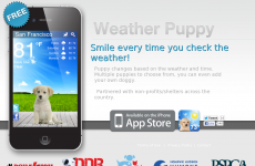 WeatherPuppy